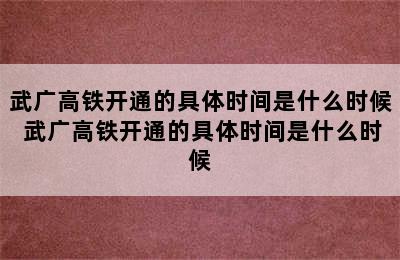 武广高铁开通的具体时间是什么时候 武广高铁开通的具体时间是什么时候